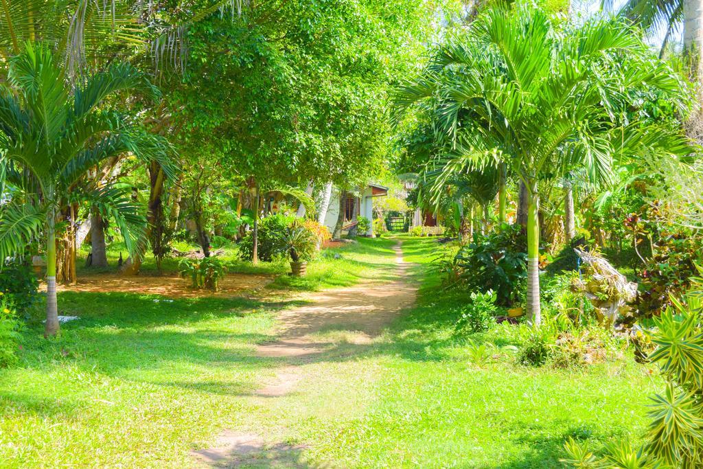 Shammie Guest House Hikkaduwa Exterior foto