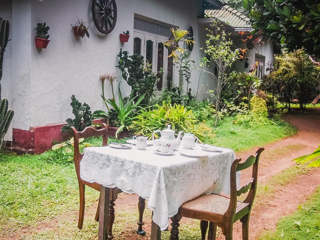 Shammie Guest House Hikkaduwa Exterior foto